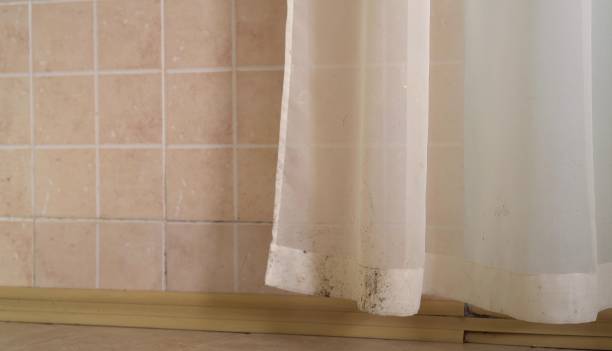 Best Mold Damage Restoration  in Crete, NE