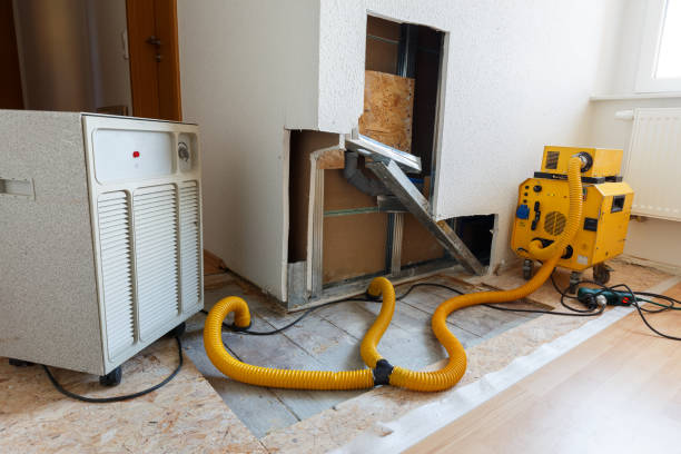 Best Mold Documentation for Insurance Claims  in Crete, NE