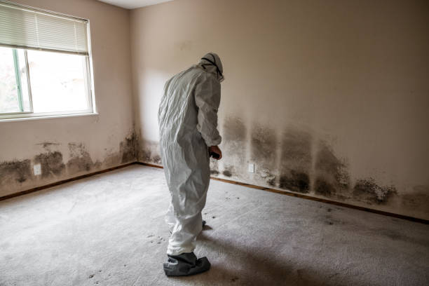 Best Residential Mold Inspection & Testing  in Crete, NE