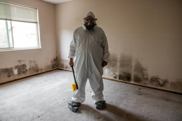 Best Mold Removal for HVAC Installations  in Crete, NE